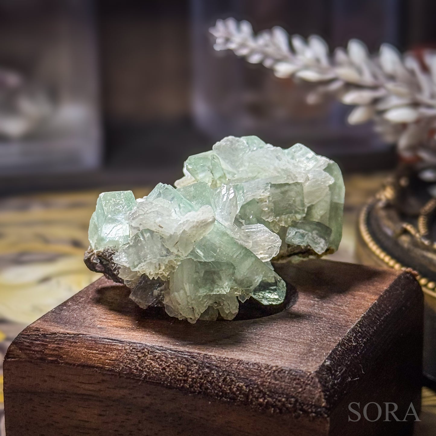 インド産 グリーンアポフィライト 1個