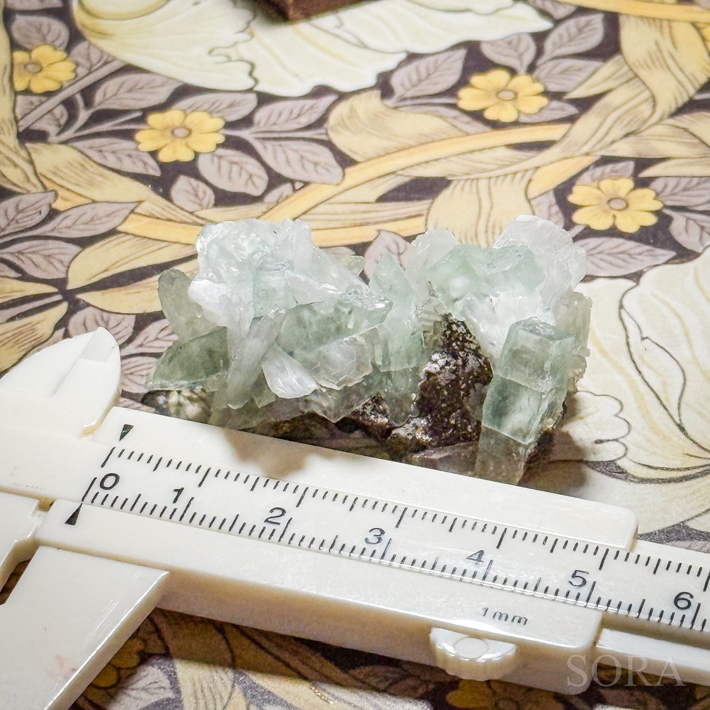 インド産 グリーンアポフィライト 1個