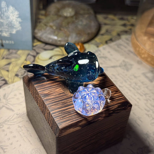 SORAの2026年　新春福袋　N3